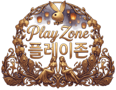 플레이존 - 최신 한국야동 및 국산야동 사이트 안내